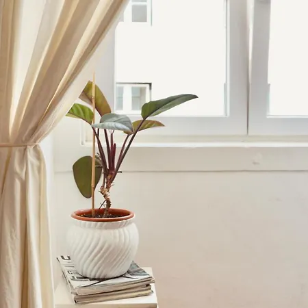 Dona Conceicao شقة