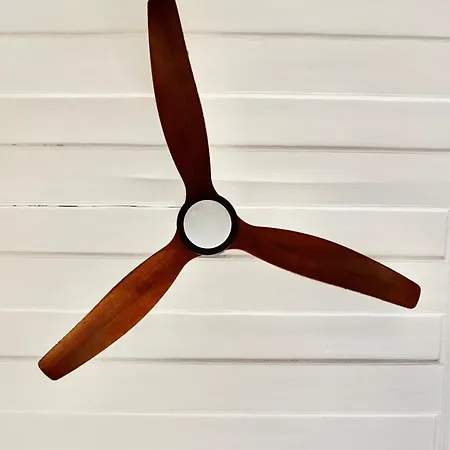 Apartment Dona Conceicao